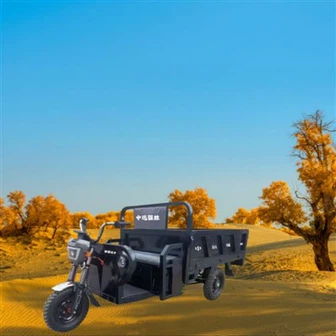 Heavy Duty Electric Cargo Þríhjól